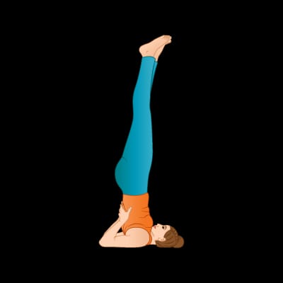 Shoulder Stand